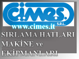 www.cimes.it